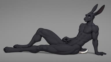 Reference image